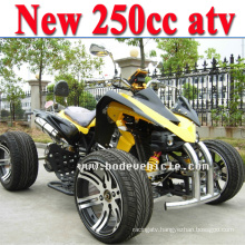 250cc off Road Vehicle EEC